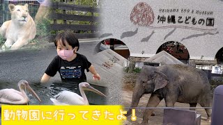 動物園にいって色んな動物見てきたよ！ 沖縄こどもの国