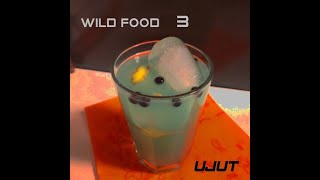 Ujut - Wild Food 3 | FULL ALBUM ~ 2024