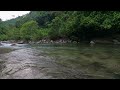 asmr soothing river sounds for sleep no birds white noise sumatra nature scenery