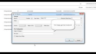 Using the FileWatcher Task
