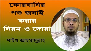 কোরবানির পশু জবাই করার নিয়ম ও দোয়া II শাইখ আহমাদুল্লাহ II