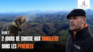 2 days of wild boar hunting in the Pyrenees