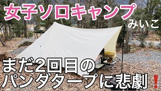 【冬　ソロキャンプ】白パンダタープに鳥さんの洗礼♪