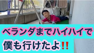 脳性麻痺児たくちゃんの自力移動【ズリバイ】訳あって脱走しました