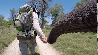 Walking with Elephants! Doug hand in trunk with Jabu the elephant, Botswana! Living With Elephants!!