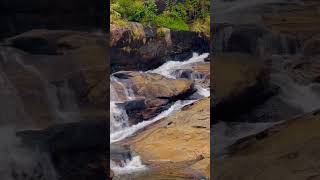 attukad waterfalls #munnar #shorts #shortvideo