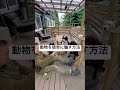 犬を簡単に騙せる方法あるある shorts