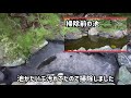 油性シーラーで池の塗装の下地塗り