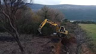 Cat 315 čole