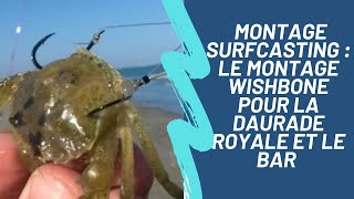 Montage surfcasting : le montage WISHBONE POUR LA DAURADE ROYALE ET LE BAR