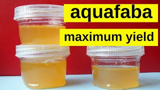 HOW TO MAKE CHICKPEA AQUAFABA - MAXIMUM YIELD! Vegan \u0026 Plant Based Egg Replacer for Baking + Cooking