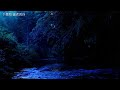 【癒しの風景・自然音ver】ホタルの里～diamond scenery with firefly～　作業用bgm　撮影・西川祐介