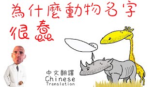 沙子翻譯: GradeAUnderA - 為什麼動物名字很蠢