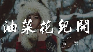 油菜花兒開 - 高安『田間人歡笑 花上蝴蝶忙』【動態歌詞Lyrics】