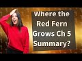 Where the Red Fern Grows Ch 5 Summary?