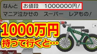 超大金が所持できるピカブイならあの自転車は買えるのか？