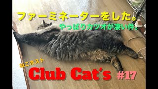 ファーミネーターをした。やっぱりカツオが凄い件。club cat's #17