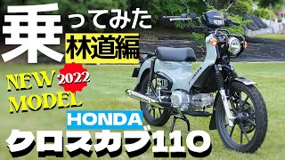 【中編】新型クロスカブ110で林道を走る！キャストホイールとディスクブレーキで強化された足回りはどんな感じ？　悪路走破性を試そう！