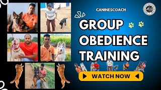 Group Obedience Training | Caninescoach | Durgesh Khadkekar | 9849486806