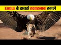 ईगल इतने खतरनाक क्यों होते है | Most Dangerous Eagle Attacks Caught on Camera