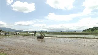 目指すは環境に優しいコメ作り　喜多方市で田植え (23/05/20 16:20)