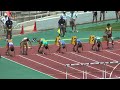 h29　千葉県選手権　男子110ｍh　予選3組