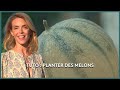 Le potager gourmet du Lot - Les Potagers de Julie