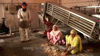 Sikh volunteers sort out chapatis at langar - Golden Temple, Amritsar