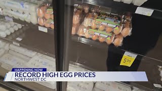 Record high egg prices causes shortage in DC grocery stores