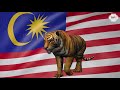 LAGU EKOR HARIMAU MALAYA