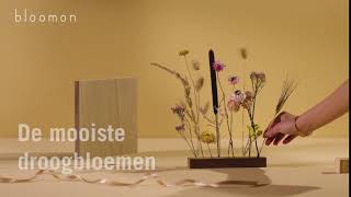 bloomon Flowergram - Droogbloemen cadeau geven [Summer 2020 - Long]