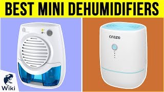 10 Best Mini Dehumidifiers 2019