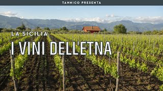 I vini dell'Etna, una storia di successo | Tannico Flying School