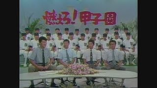 吉田高校優勝YBS特別番組（平成元年第71回全国高校野球山梨県大会）