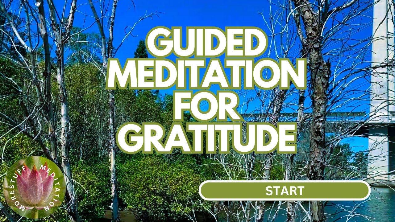 Gratitude Guided Meditation: Cultivate Blessings And Appreciation, Big ...