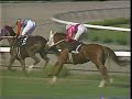 【競馬】 1998年_兵庫特別