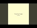 Pulse Sky Fragile