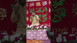 Yasir Tabatabai || Live 2 Shaban 2025 Jashan Imam E Hussain As  #yaali #shorts #3shaban #shortvideo