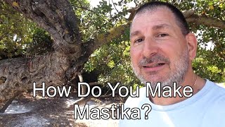 How Do You Make Mastika? First Go To Chios Greece Where The Mastika Tree Grows!