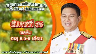 นวัตกรรมเพื่อการเกษตร | เกษตร 52 สัปดาห์ ตอน ส้มเขียวหวาน สัปดาห์ที่ 35