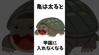 【雑学】今すぐ人に教えたくなる雑学・豆知識　#雑学 #あるある #トリビア #豆知識 #知識 #ざつがく #面白い #ゆっくり#肥満     #2ch #日常雑学 #脂肪　#医学