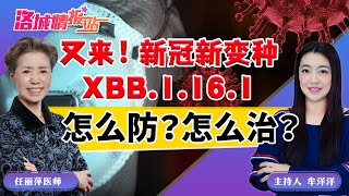 又来！新冠新变种XBB.1.16.1怎么防？怎么治？《洛城情报站》2023.04.14