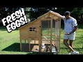 How I Got Unlimited Eggs!!