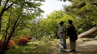 Kyoto - Maruyama Park - Mid-Spring [4k]