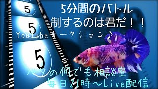 オークション DE ナイト♬【2021年9月5日】ベタの何でも相談室