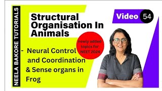 Neural Control and Coordination & Sense Organs in Frog | NEET 2024 | Neela Bakore Tutorials