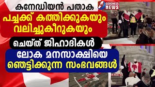 കനേഡിയൻ പതാകകത്തിക്കുകയും വലിച്ചുകീറുകയും ചെയ്ത്|LEBANON|GAZA|ISRAEL PALESTINE|HEZBOLLAH|GOODNESS TV