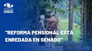 ¿Renta básica para adultos mayores en Colombia dependerá de reforma pensional?