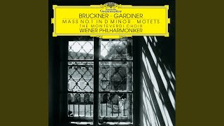 Bruckner: Mass No. 1 in D Minor, WAB 26 - Benedictus