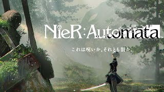 NieR:Automata 少しだけたれながし